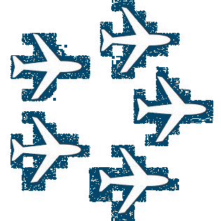 Airlines Fleet